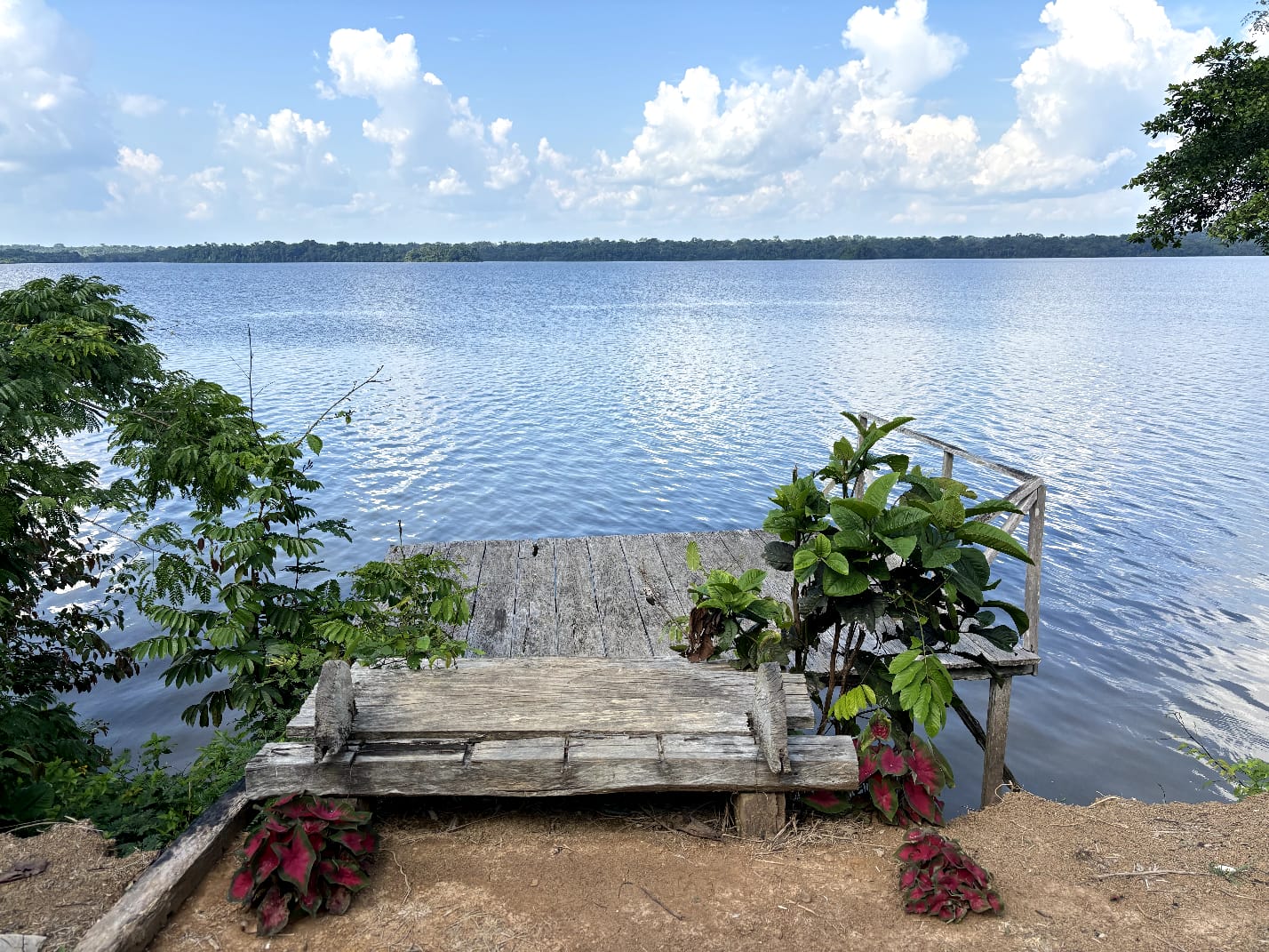 Beautiful Amazon Vista