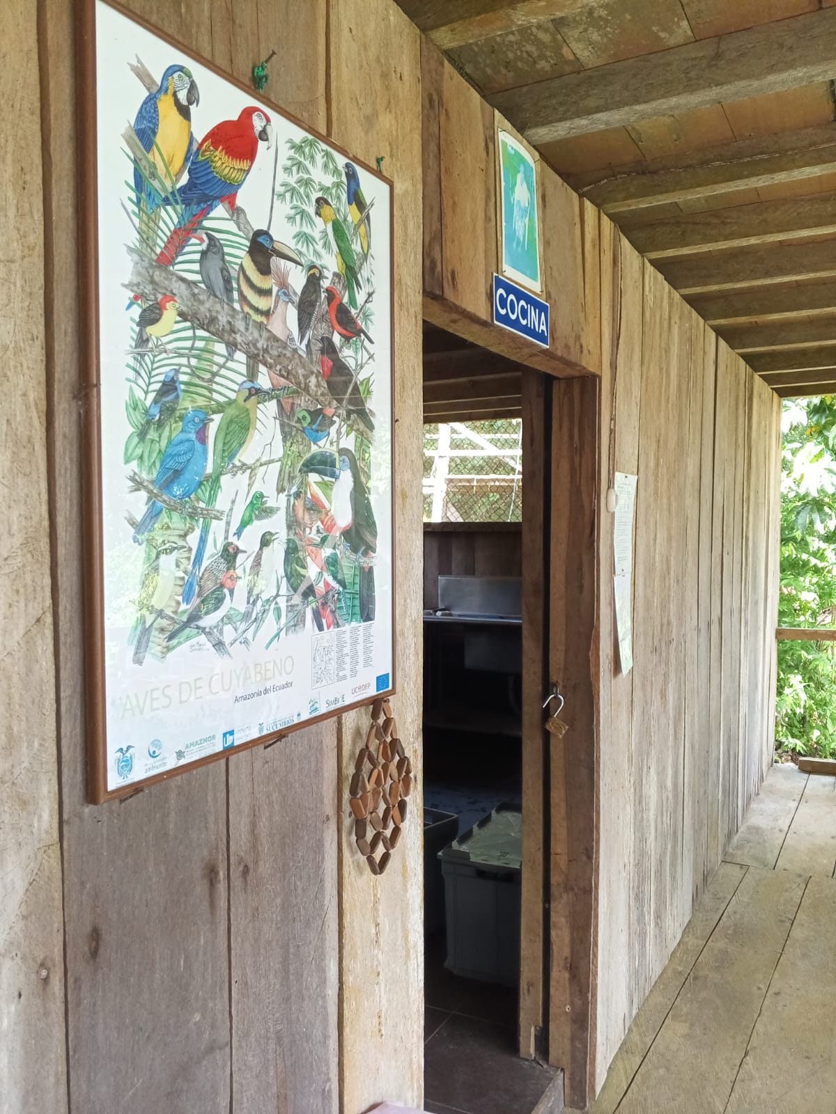 Monkey Frog Lodge Cabins 5