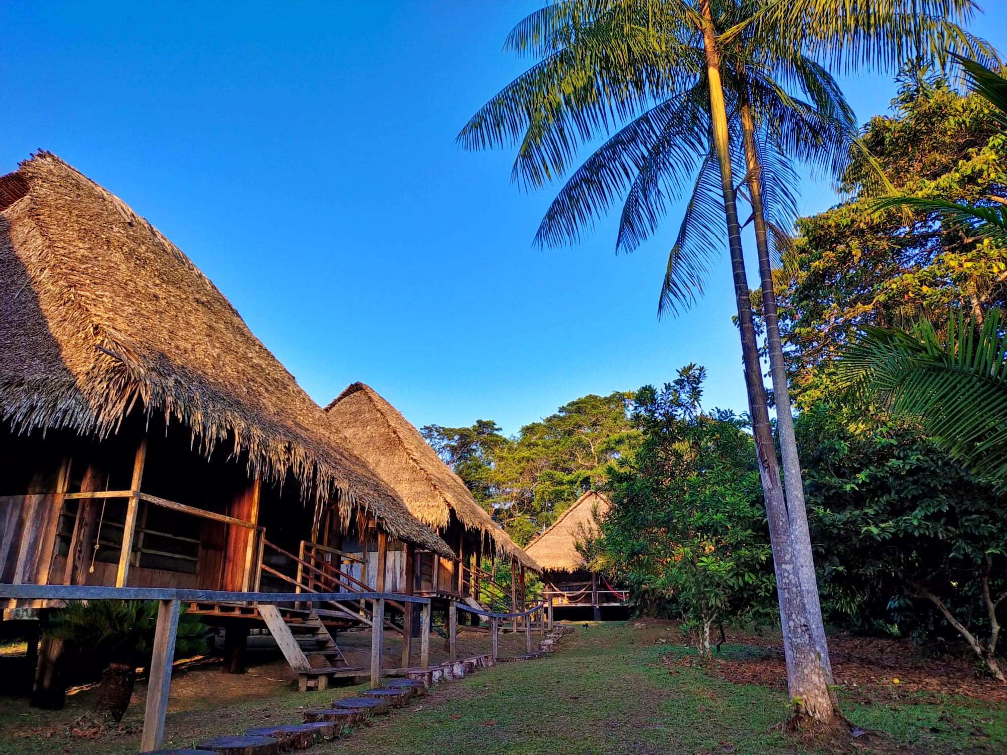 Beautiful lodge cabins