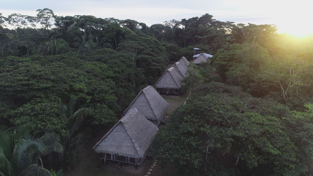 Colibri Amazon Lodge Cabins