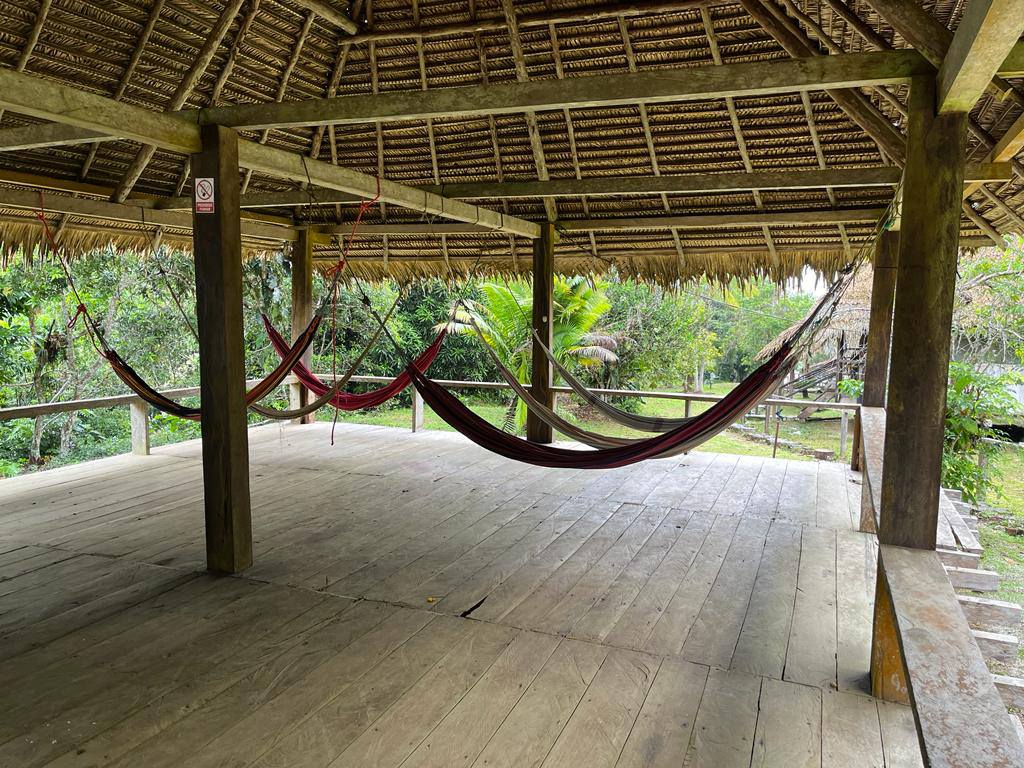 Monkey Frog Lodge Cabins - 3